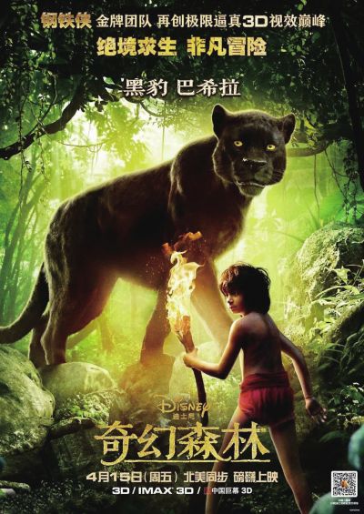 岐阜薬科大学艺术文凭证书